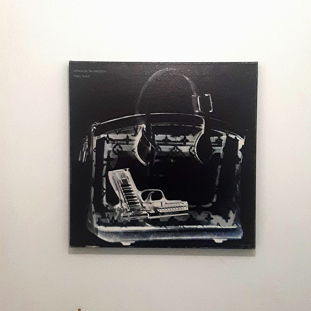 Oliver Gal & Co Canvas Art * Couture X-Ray * 24"x24"